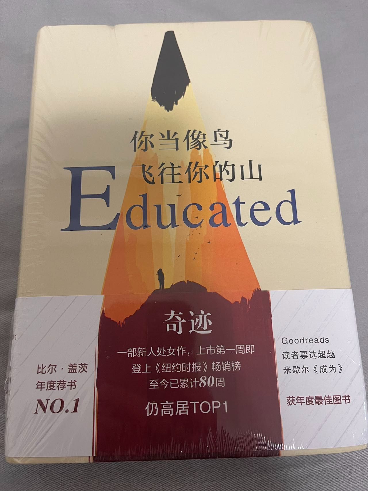 你当像鸟飞往你的山